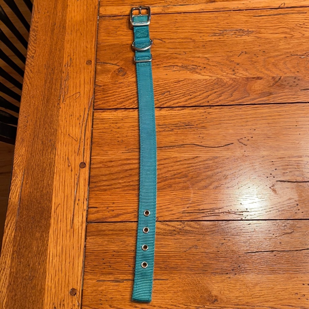 Blue Dog collar.